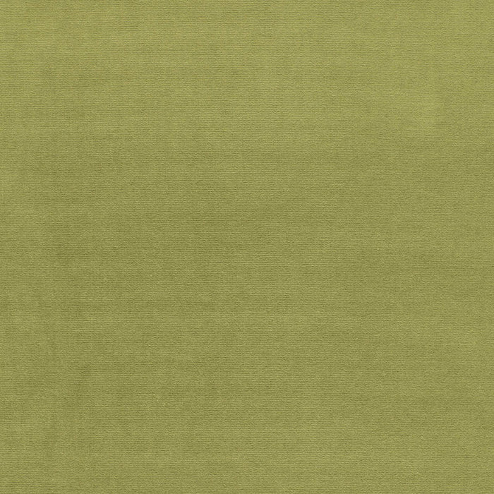 Schumacher Gainsborough Velvet Palm Fabric Sample 43258