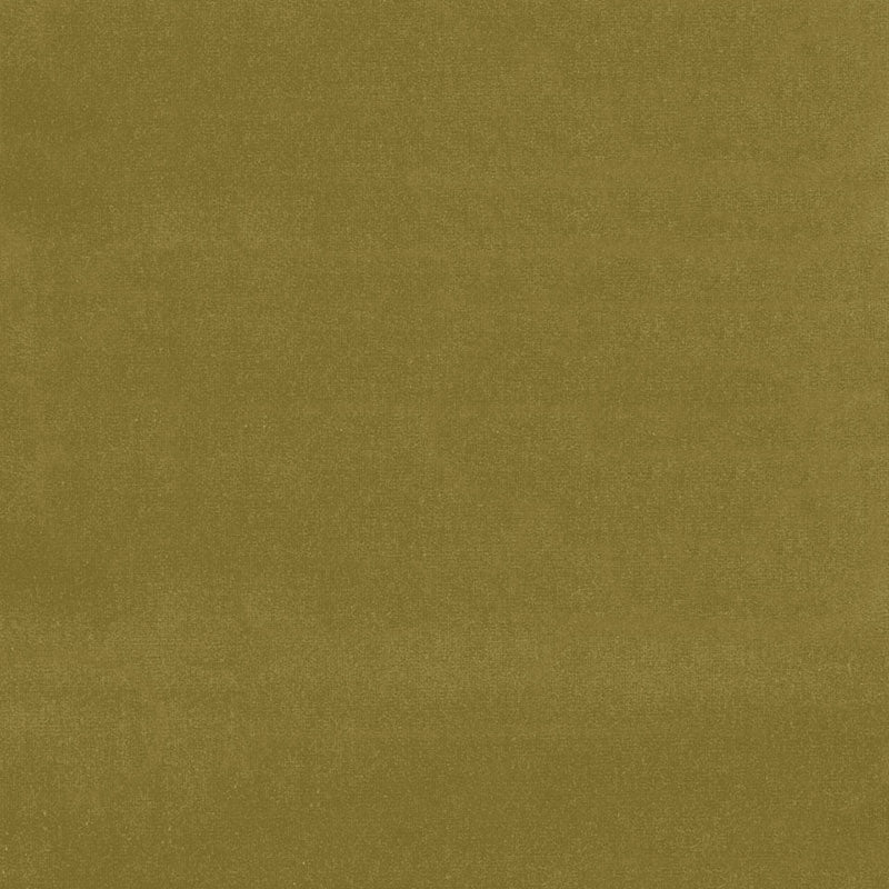 Schumacher Gainsborough Velvet Sap Fabric Sample 43259