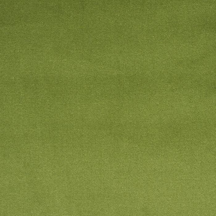 Schumacher Cotton Club Velvet Sage Fabric Sample 43424