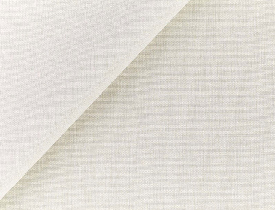 No.9 Thompson Palm Plain Rice Paper Fabric Sample N9012122001