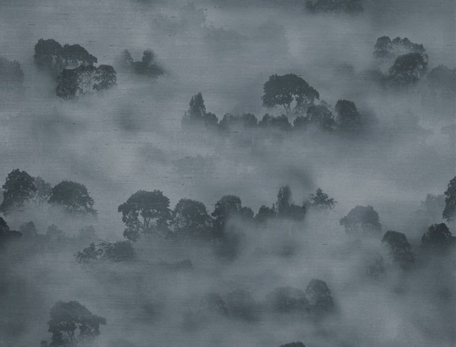 Jim Thompson Misty Forest  Sky Wallpaper Sample JT021048001