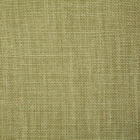 Pindler Fabienne Lime Fabric 4580