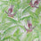 Matthew Williamson Sunbird 2 Sample Sample W6543-02