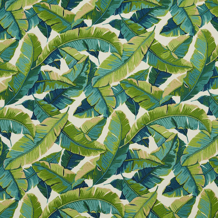Charlotte 4635 Belize Fabric Sample