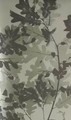 Osborne & Little Sherwood 04 Wallpaper W5875-04