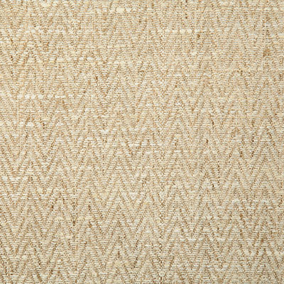 Pindler Beringer Tussah Fabric 4758