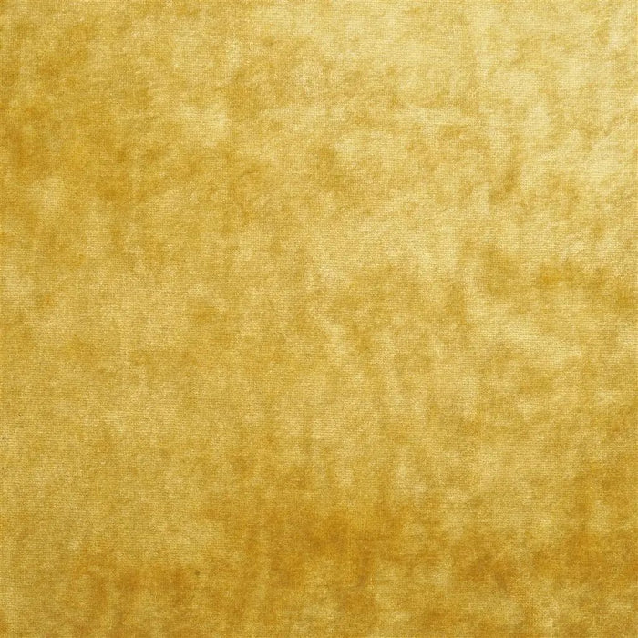 Royal Collection Velveto 2 Sample Sample FRC2400-02
