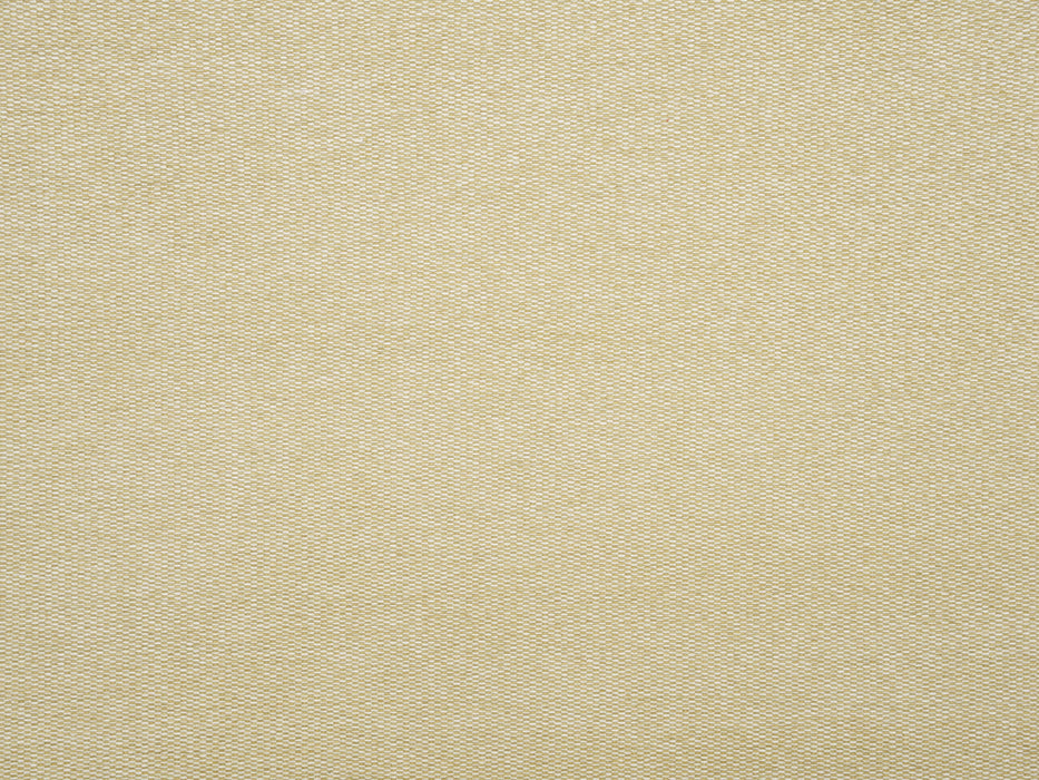 No.9 Thompson Velvet Stitch Honey Fabric Sample N9012399004