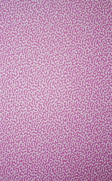 Lorca Coquine 1 Sample Sample MLW2211-01