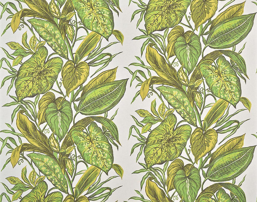 Pierre Frey Nassau Jungle Wallpaper Sample FP102002
