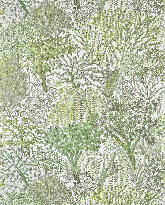 Pierre Frey Eldorado Verdure Wallpaper Sample FP104001