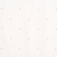Pierre Frey La Voie Lactee Argent Fabric F2963002