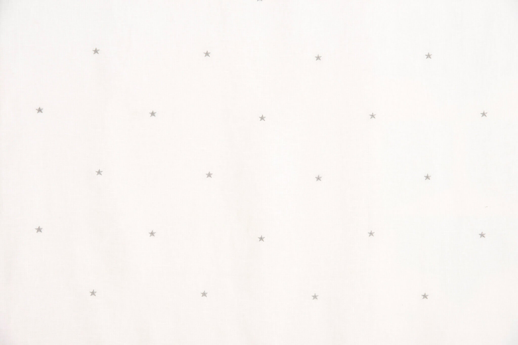 Pierre Frey La Voie Lactee Argent Fabric F2963002