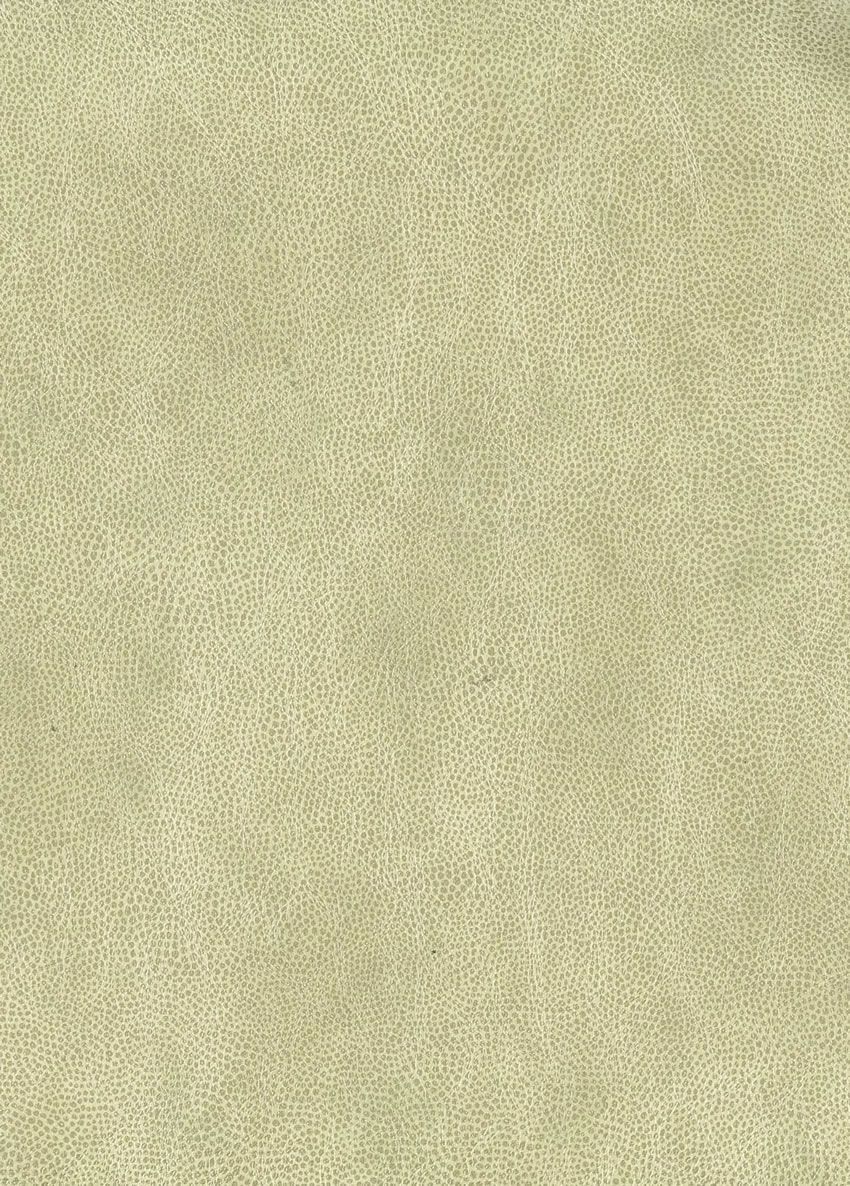 Osborne & Little Mako Vinyl 2 Sample Sample W6331-02