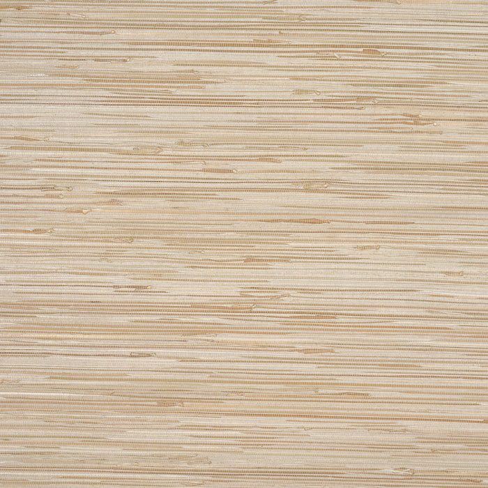 Schumacher Nami Rushcloth Slate Wallpaper Sample 5002862