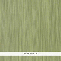 Schumacher Stratus Moss Wallpaper 5003452