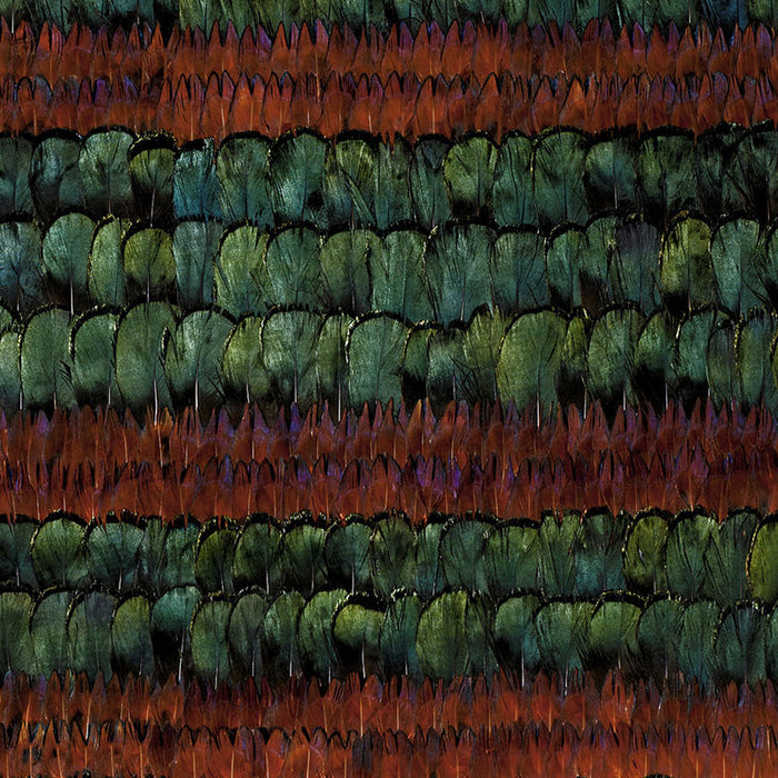 Schumacher Grand Isle Peacock & Pheasant Wallpaper Sample 5003890