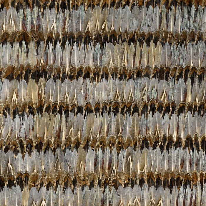 Schumacher Everglades Dove Wallpaper Sample 5003930