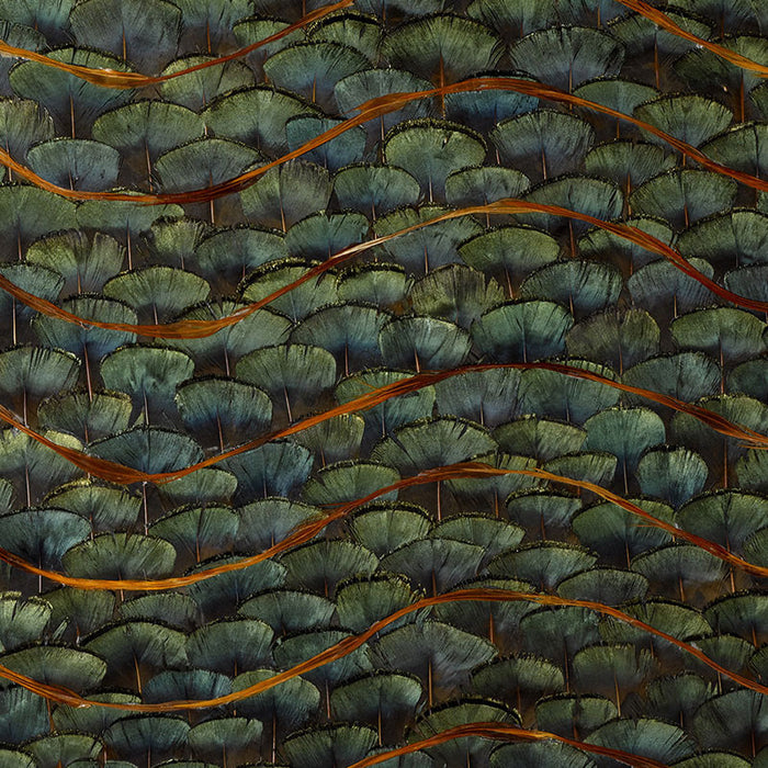 Schumacher Emerald Bay Peacock Wallpaper Sample 5003940