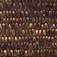 Schumacher Caumsett Sable Wallpaper 5003970