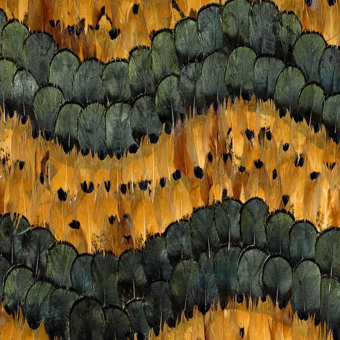 Schumacher Golden Hill Citrine Wallpaper Sample 5003990