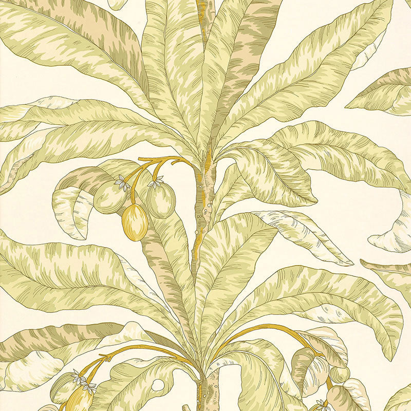 Schumacher Blair House Palm Kiwi Wallpaper Sample 5004062