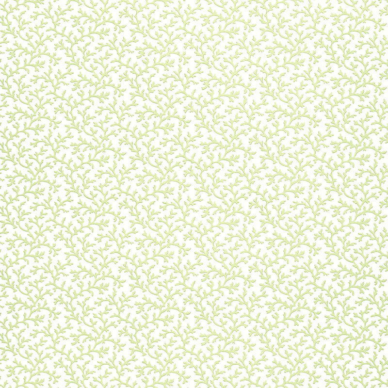 Schumacher Coral Vine Aloe Wallpaper 5004412