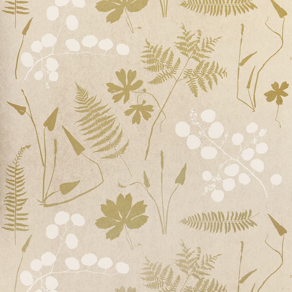 Schumacher Modern Botanical Parchment Wallpaper Sample 5005010