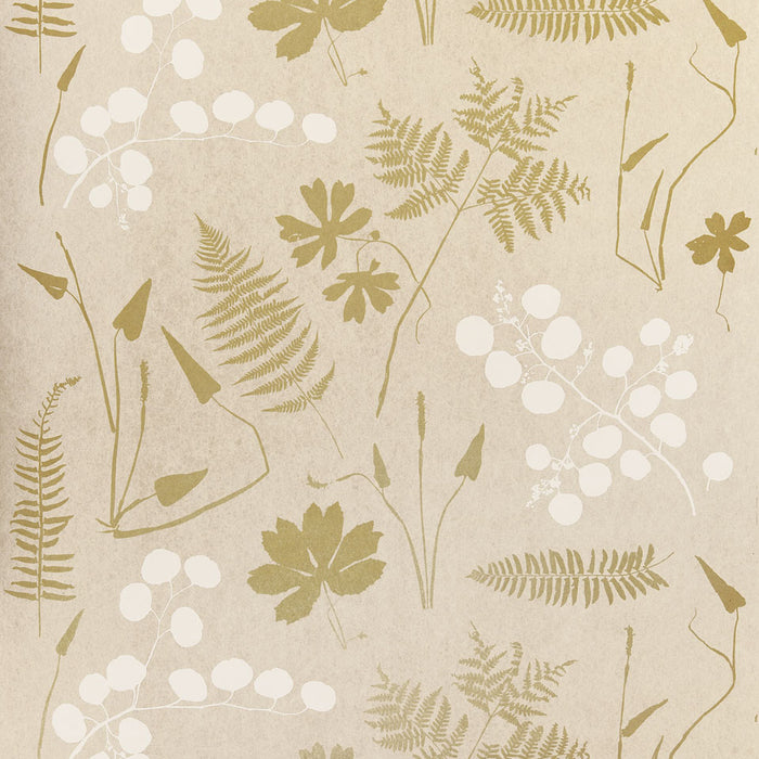 Schumacher Modern Botanical Parchment Wallpaper Sample 5005010