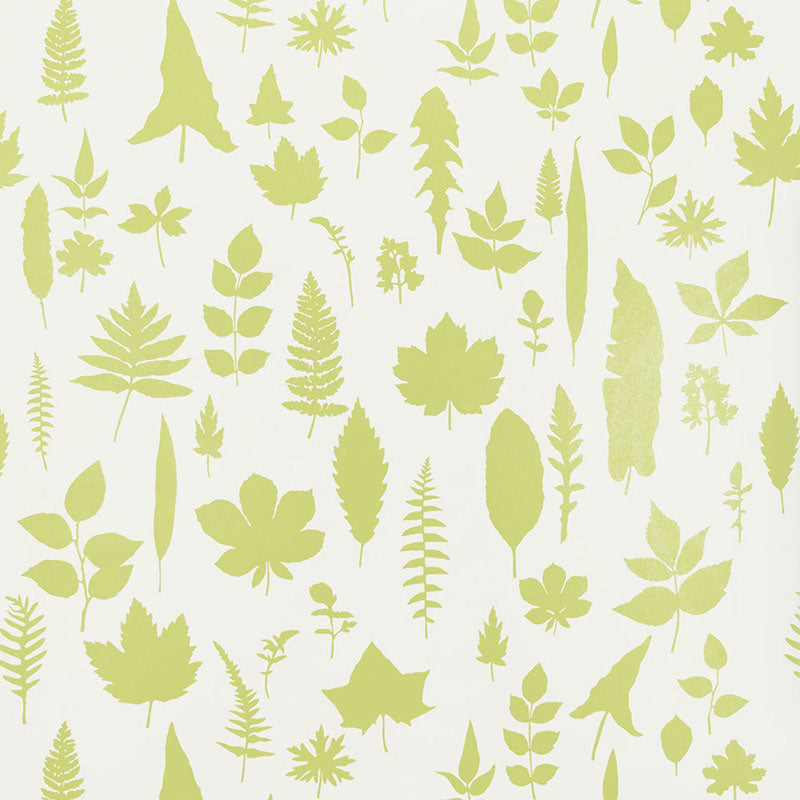 Schumacher Leaves Chartreuse Wallpaper Sample 5005021