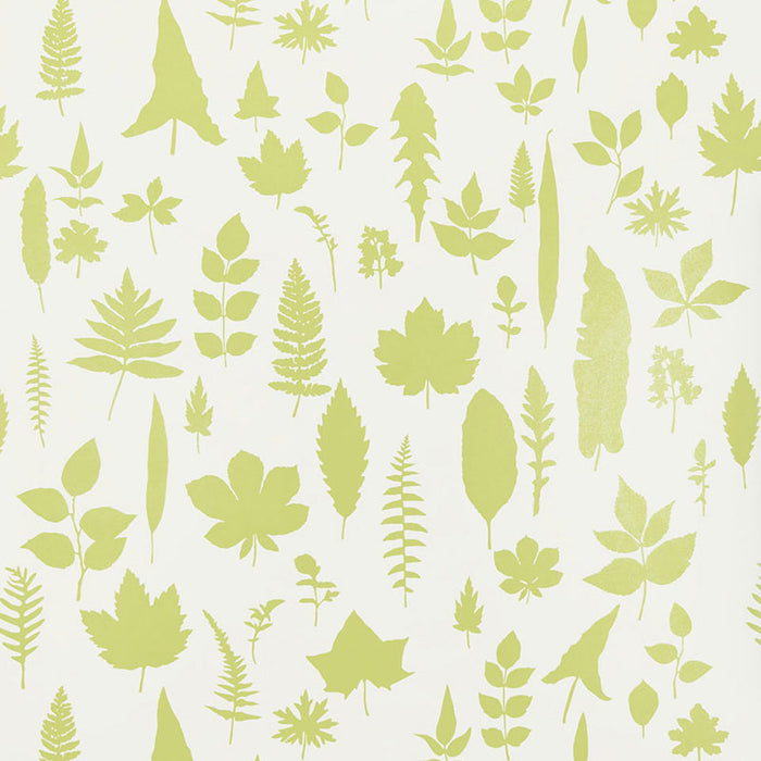 Schumacher Leaves Chartreuse Wallpaper Sample 5005021