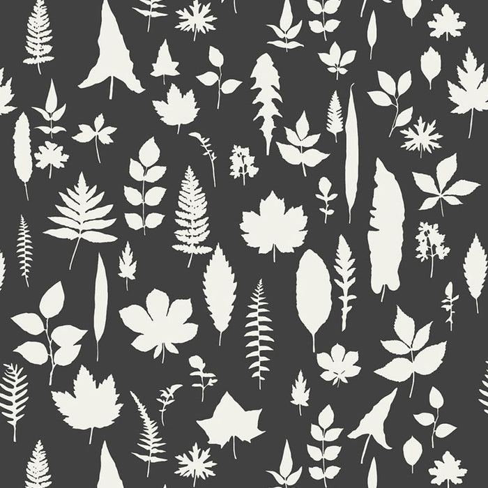 Schumacher Leaves Graphite Wallpaper Sample 5005023