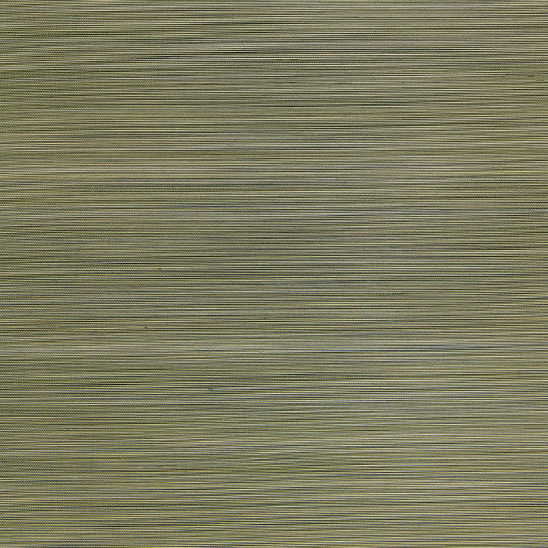 Schumacher Zen Bamboo Sage Wallpaper Sample 5006401
