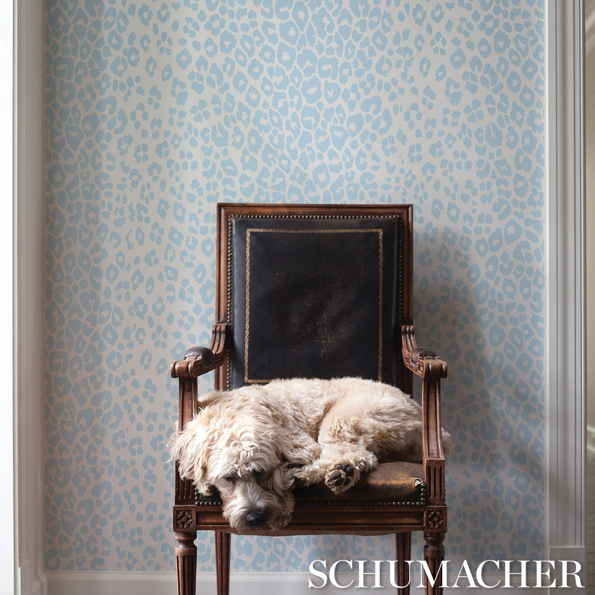 Schumacher Iconic Leopard Sky Wallpaper Sample 5007014