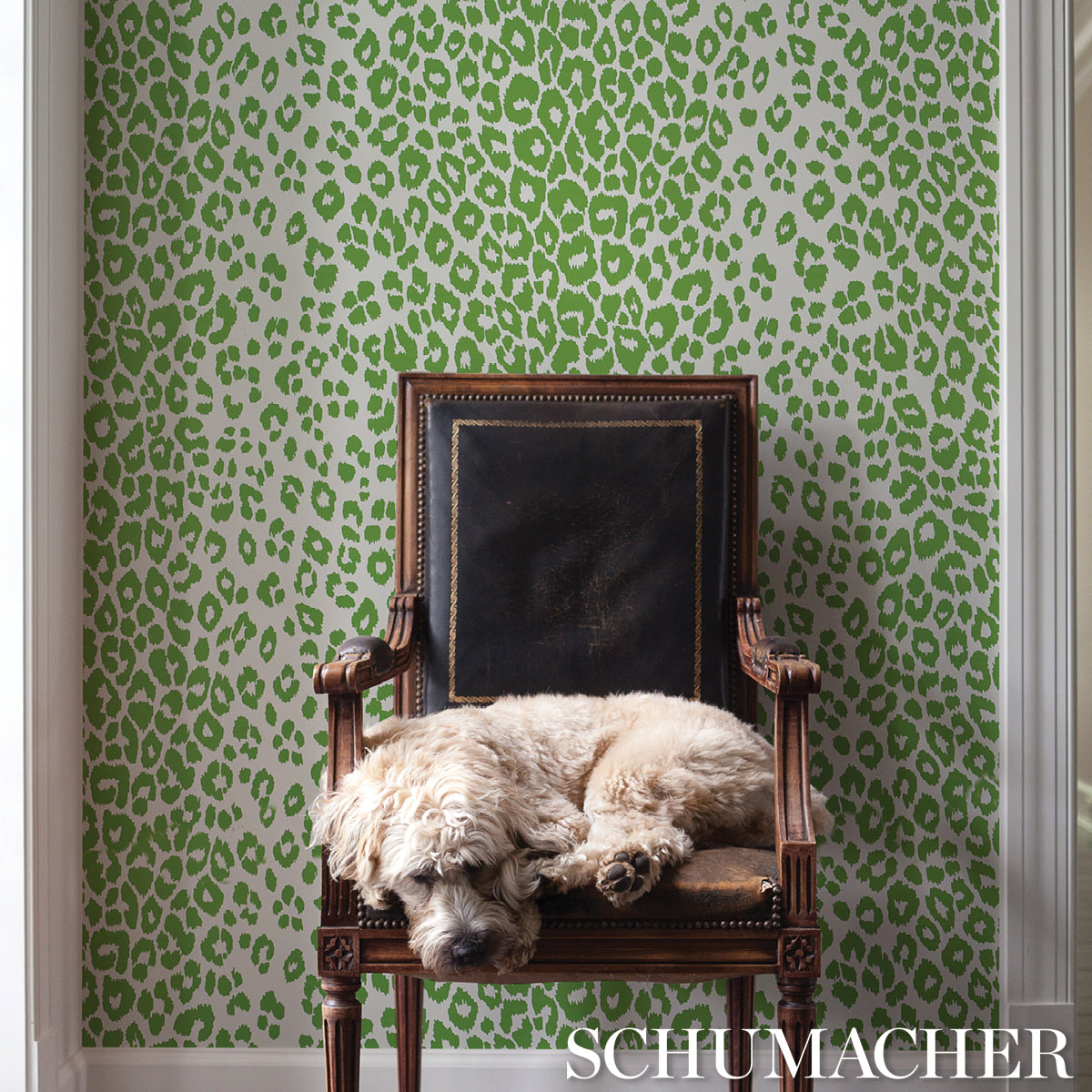 Schumacher Iconic Leopard Green Wallpaper Sample 5007015