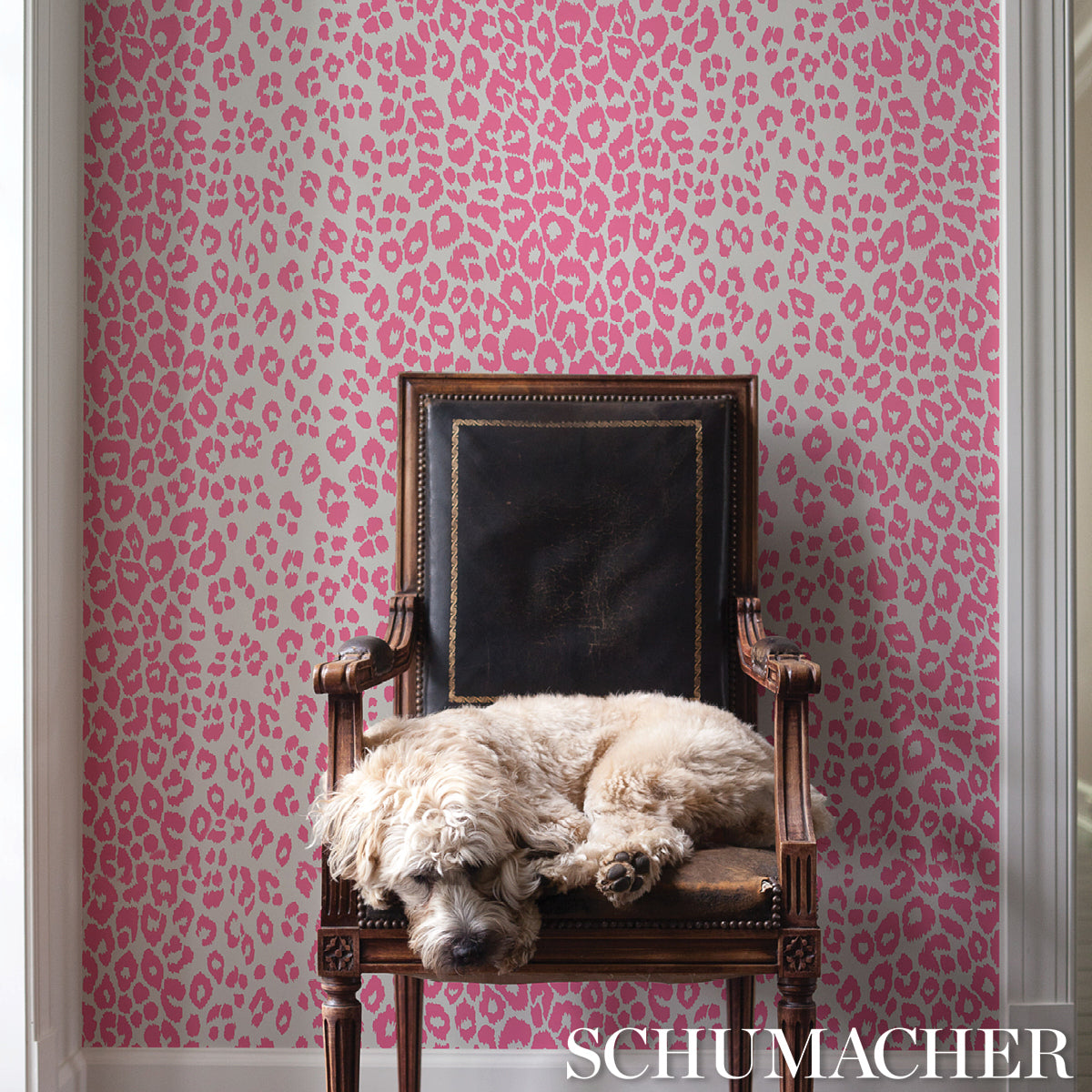 Schumacher Iconic Leopard Pink Wallpaper Sample 5007016