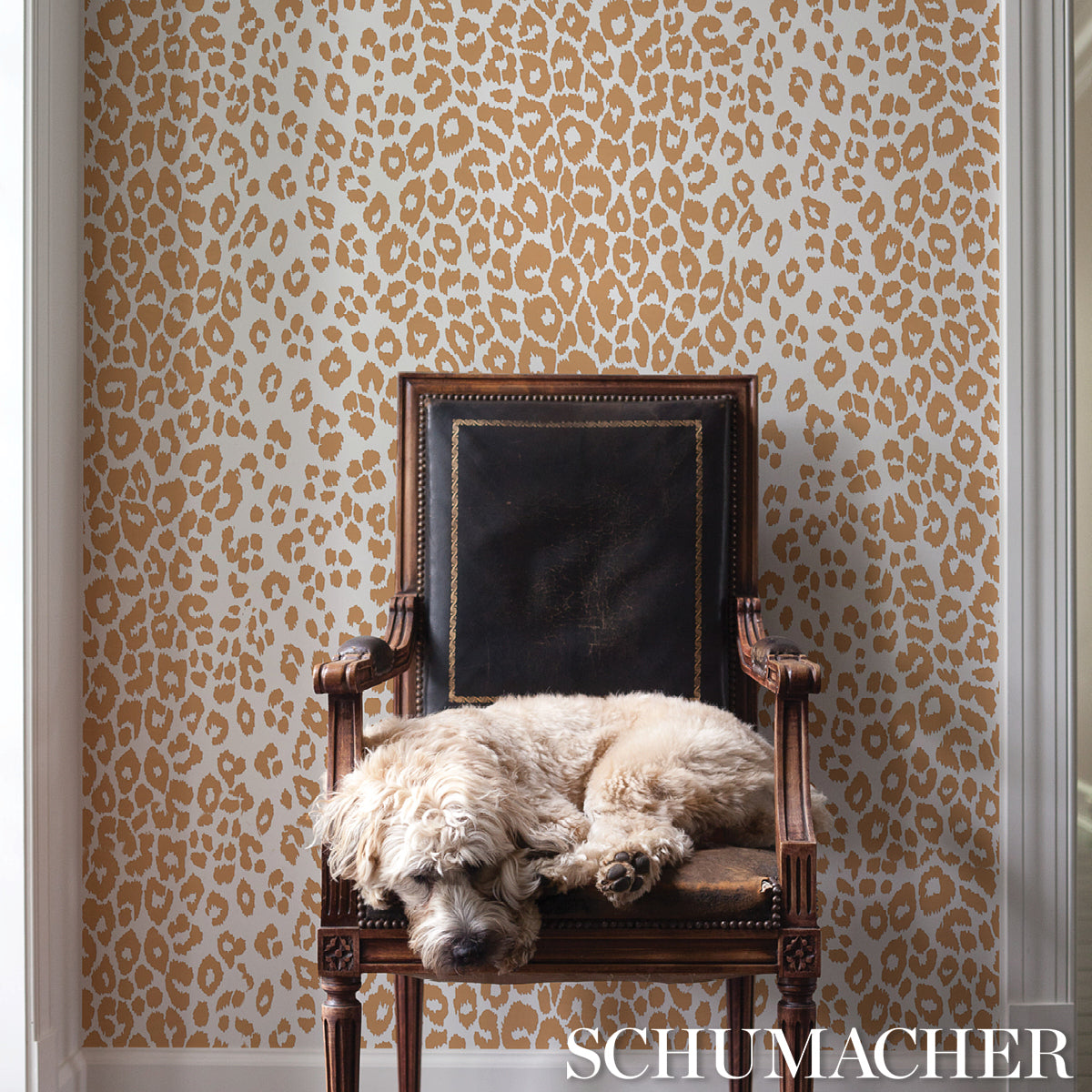 Schumacher Iconic Leopard Camel Wallpaper Sample 5007017