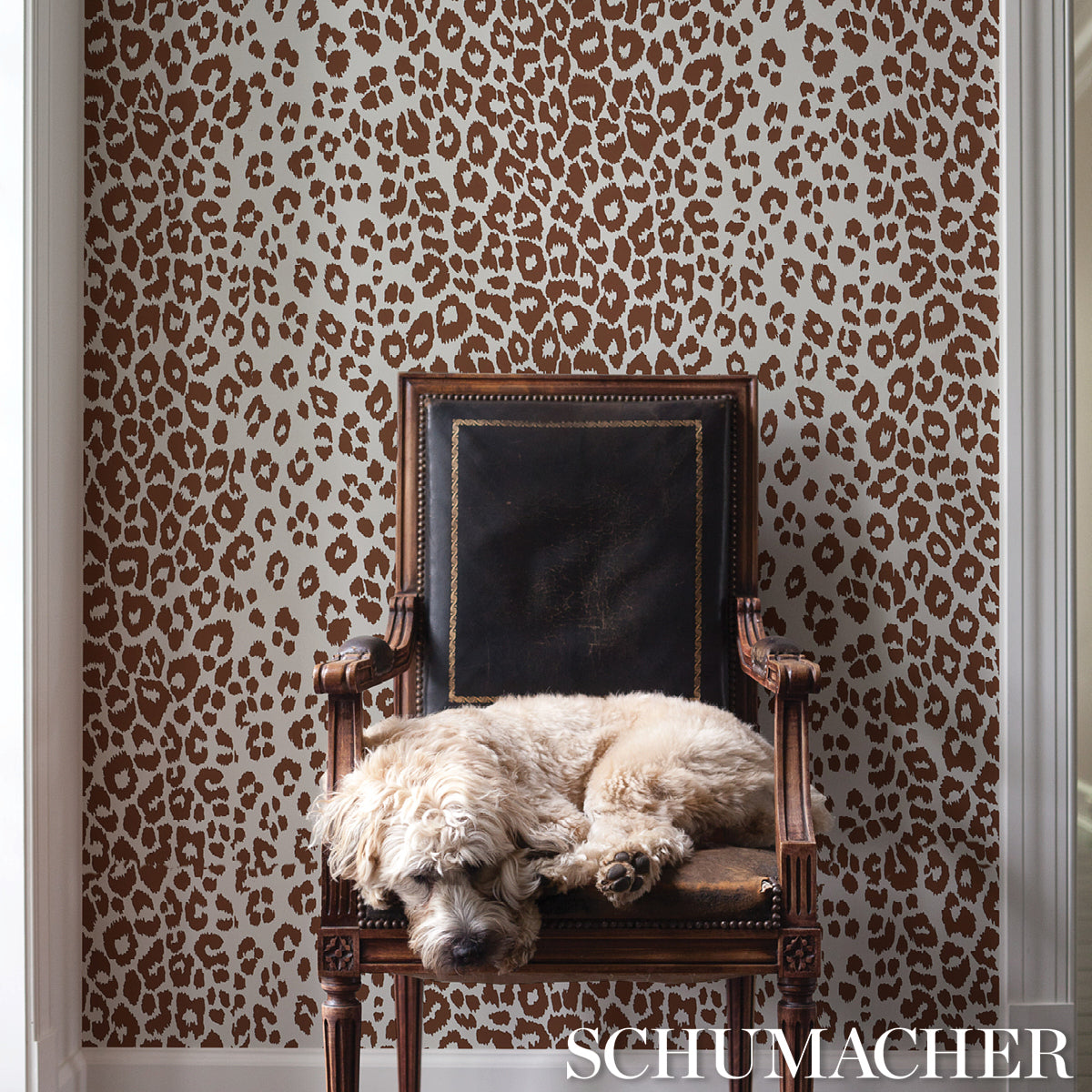 Schumacher Iconic Leopard Brown Wallpaper Sample 5007018