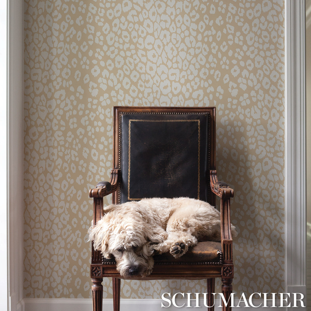 Schumacher Iconic Leopard Ivory On Neutral Wallpaper Sample 5007020