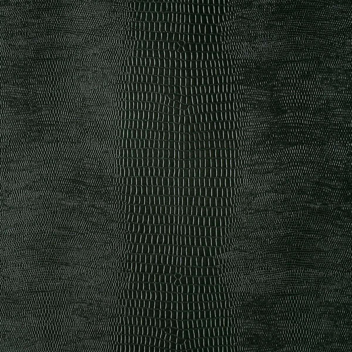 Schumacher Komodo Forest Green Wallpaper Sample 5007342