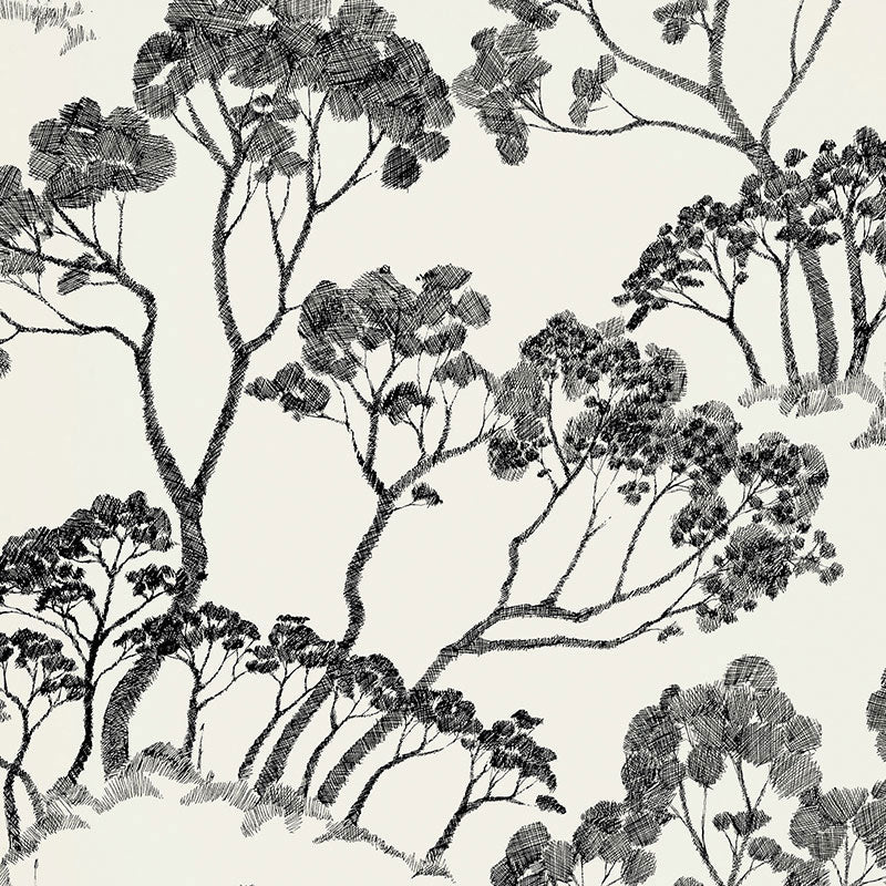 Schumacher Timber ! Black & White Wallpaper Sample 5007980