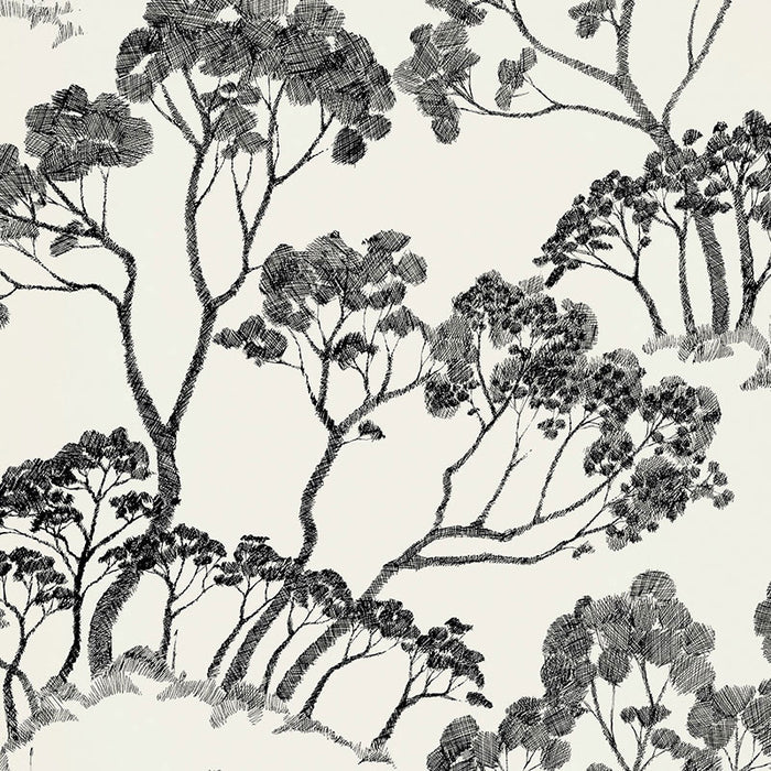 Schumacher Timber ! Black & White Wallpaper Sample 5007980