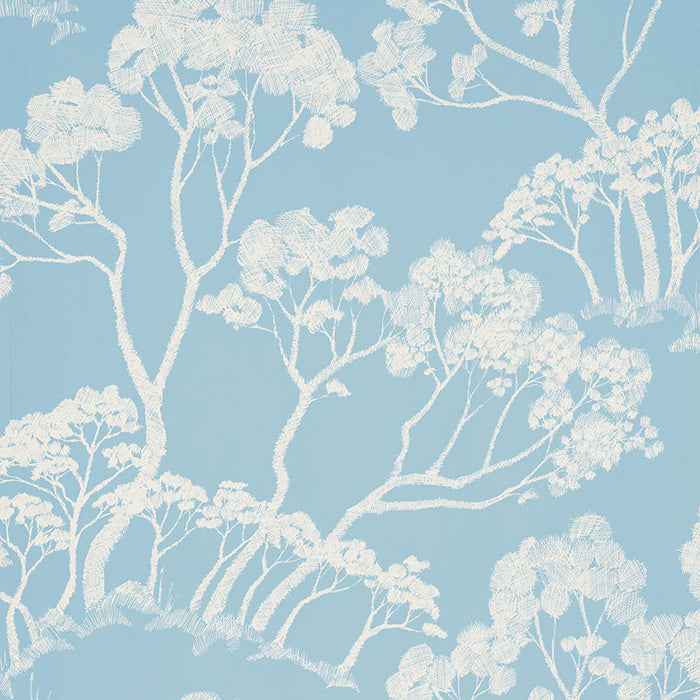 Schumacher Timber ! Cloud Wallpaper Sample 5007982