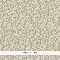 Schumacher Folly Sage Wallpaper 5008003