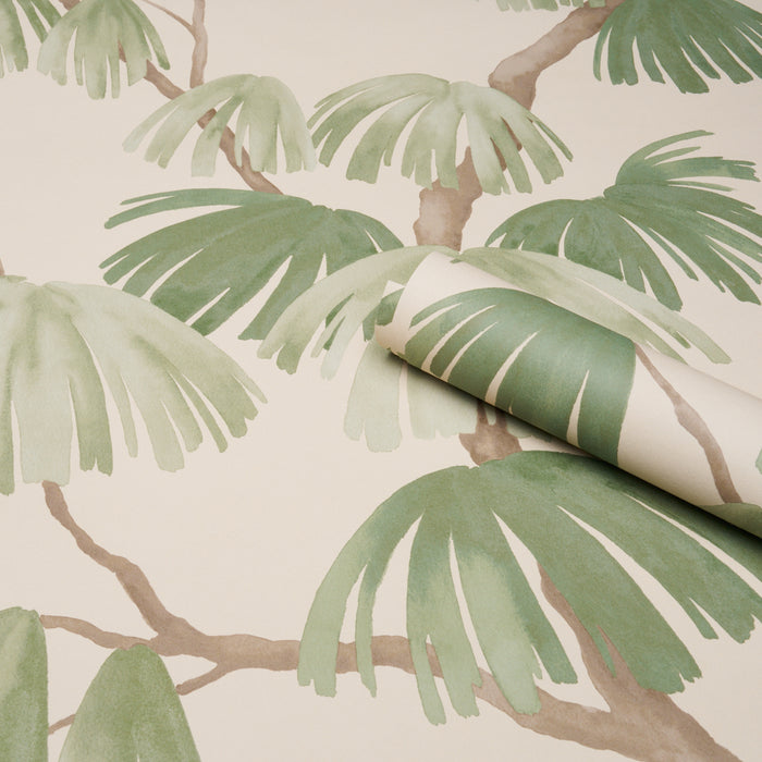 Schumacher Weeping Pine Green Wallpaper Sample 5008335