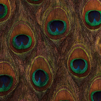 Schumacher Peacock Ore Peacock Wallpaper 5008370
