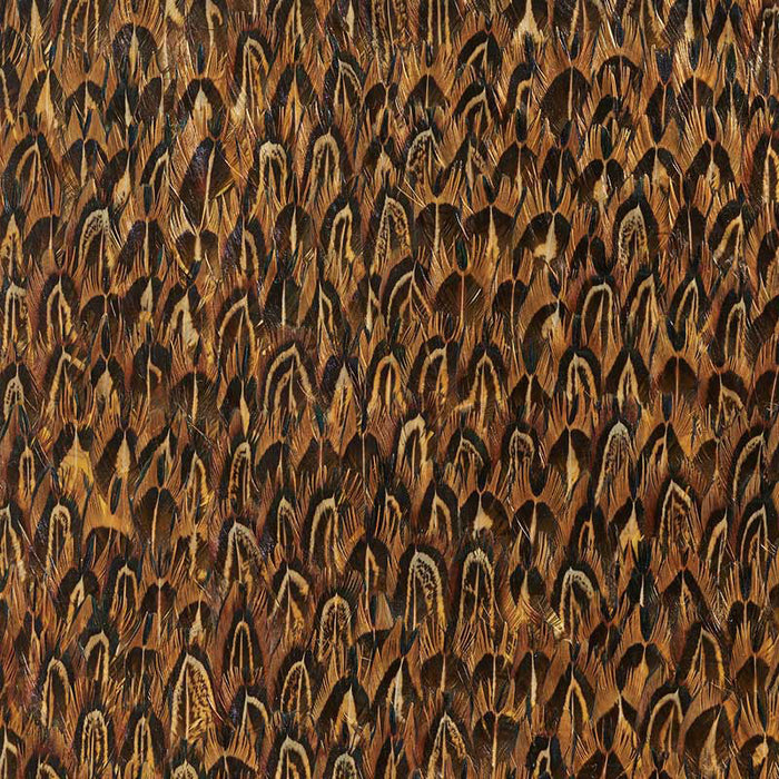 Schumacher Gold Quail Wallpaper Sample 5008376