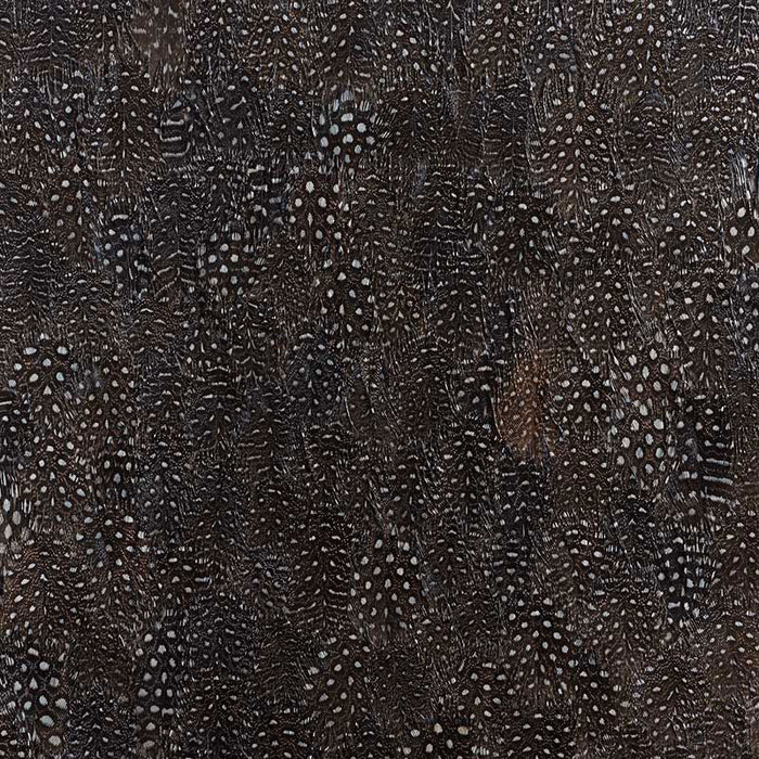 Schumacher Titanium Black & White Wallpaper Sample 5008378