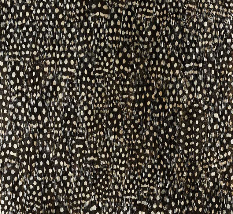 Schumacher Zinc Black & White Wallpaper Sample 5008379