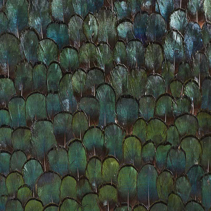 Schumacher Jade Forest Green Wallpaper Sample 5008380